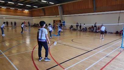 Royal Racketeers Badminton Academy